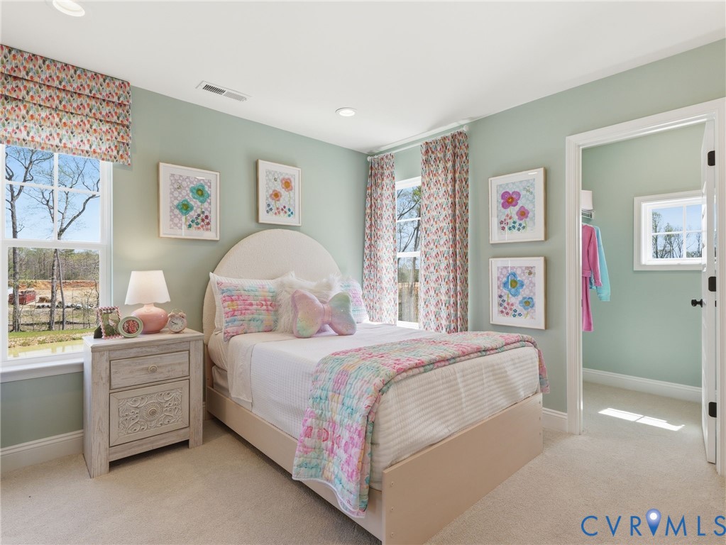 17348 Alana Drive Moseley, VA 23120 - Photo 16 of 35