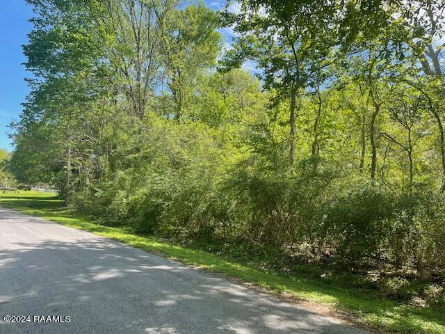 6037 Homer Road Maurice, LA 70555 - Photo 2 of 4 IMG_8557