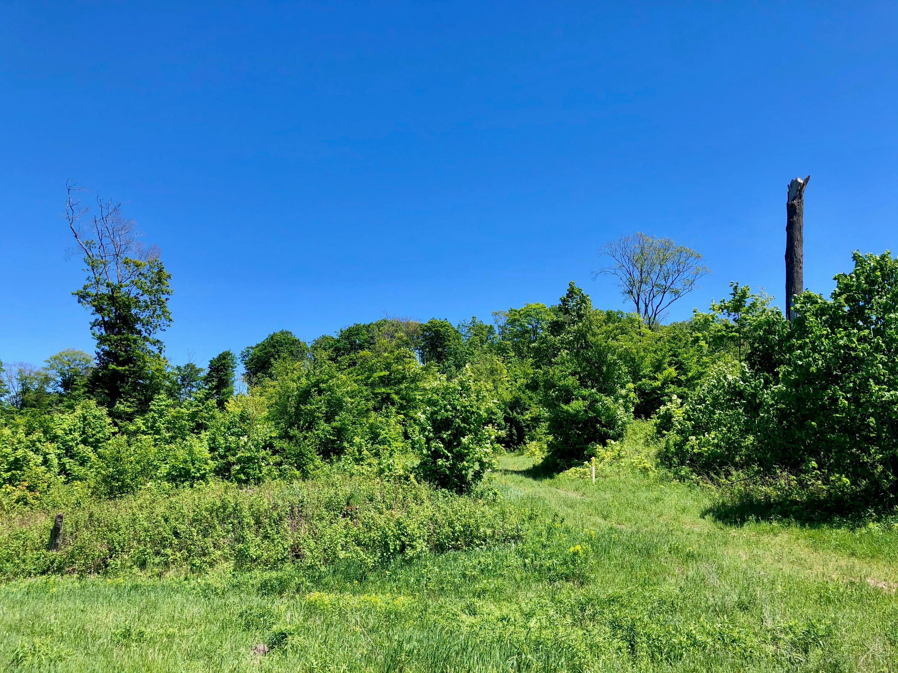 Berry Road Gaylord, MI 49735 - Photo 10 of 17 Gallery Image 10