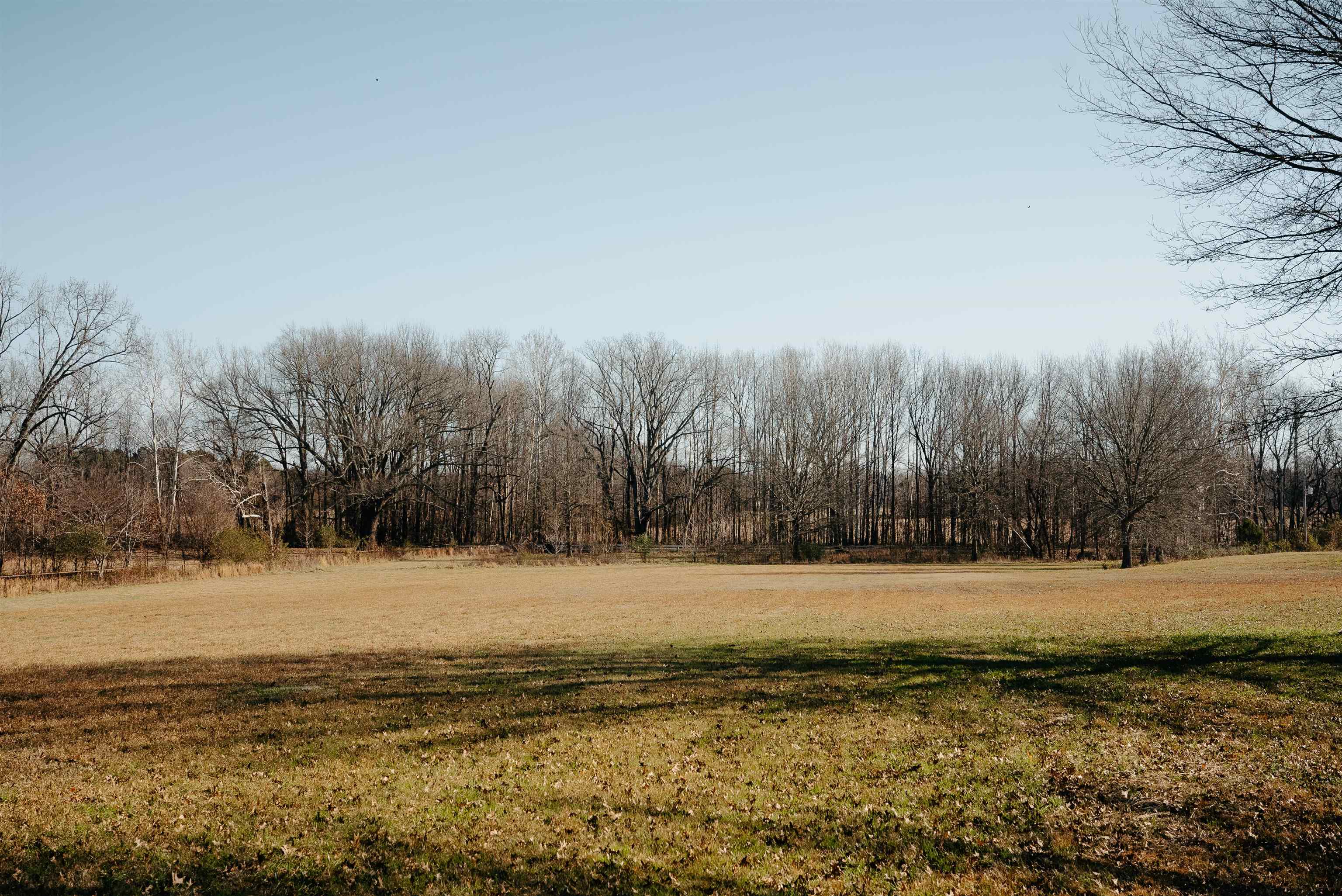 1275 Quinn Road Collierville, TN 38017 - Photo 21 of 34 a view of a yard with a house