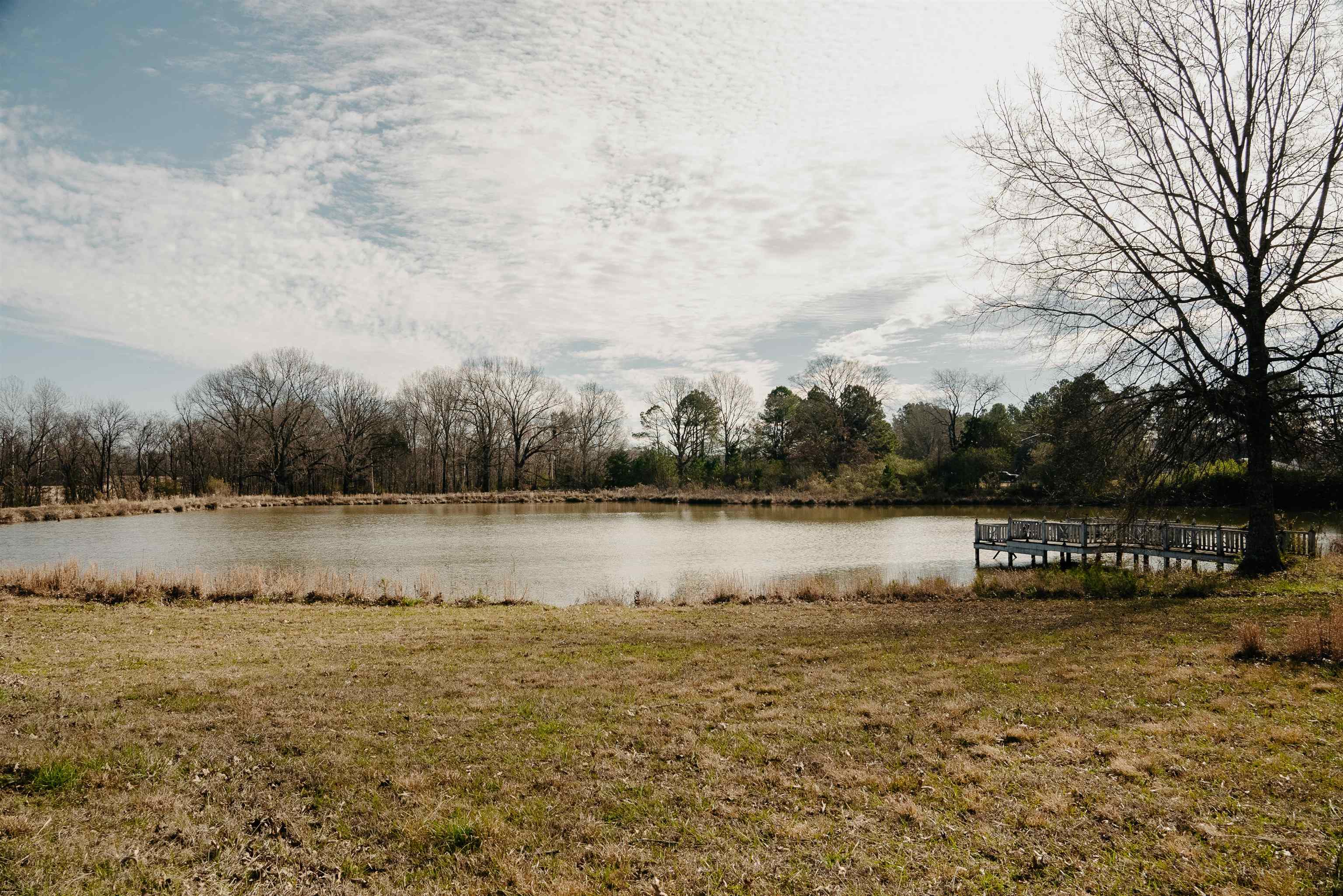 1275 Quinn Road Collierville, TN 38017 - Photo 23 of 34 a view of a lake with houses in the back