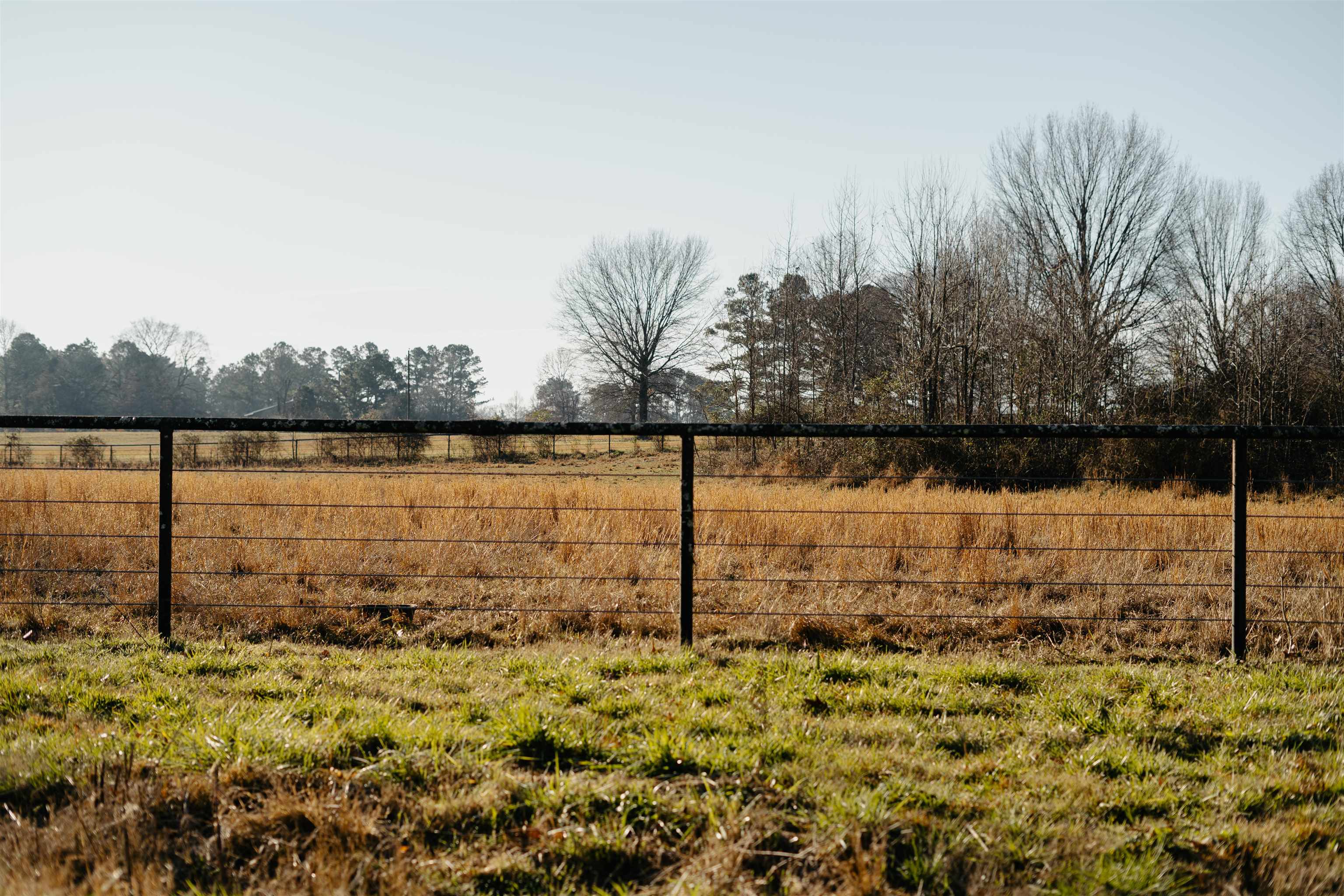 1275 Quinn Road Collierville, TN 38017 - Photo 24 of 34 a view of lake