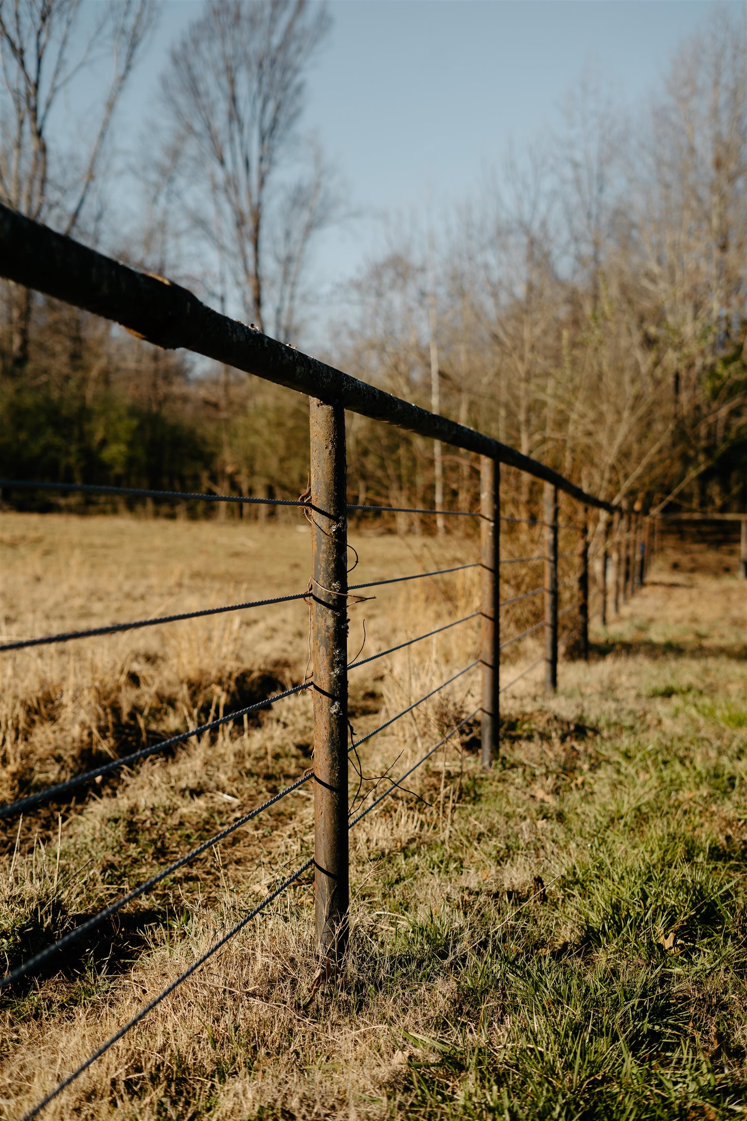 1275 Quinn Road Collierville, TN 38017 - Photo 25 of 34 a view of wooden fence