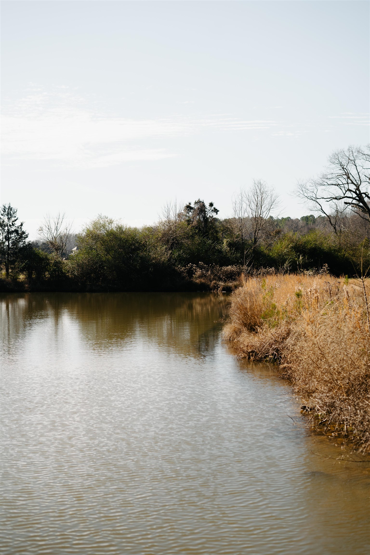 1275 Quinn Road Collierville, TN 38017 - Photo 30 of 34 a view of lake