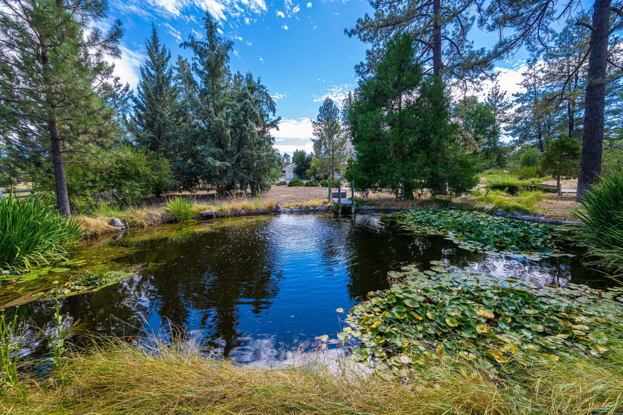 36285 Tool Box Spring Road Mountain Center, CA 92561 - Photo 17 of 96 35-web-or-mls-JM_ToolBox_OPMG_0823_035