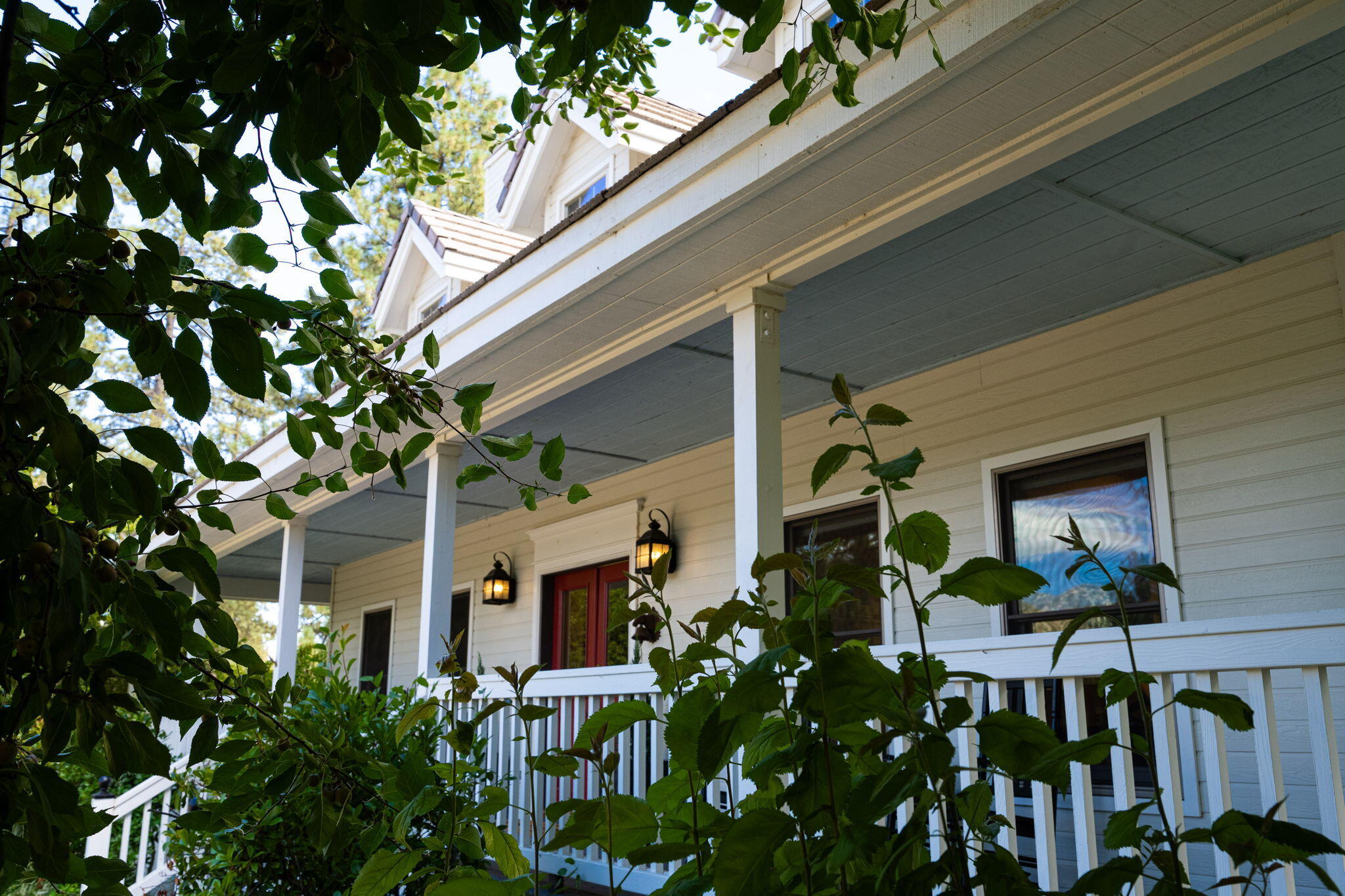 36285 Tool Box Spring Road Mountain Center, CA 92561 - Photo 31 of 96 84-web-or-mls-JM_ToolBox_OPMG_0823_084