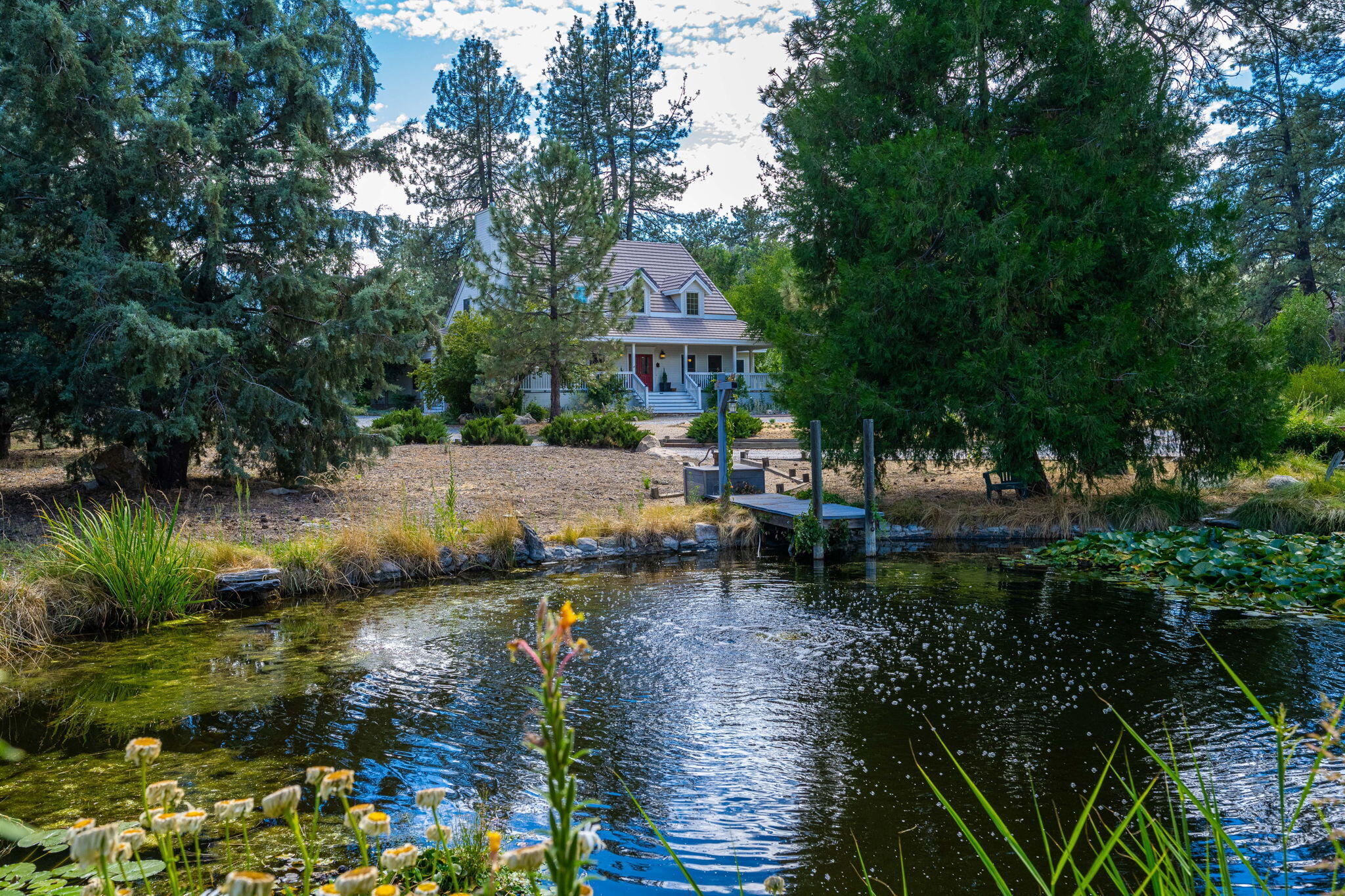 36285 Tool Box Spring Road Mountain Center, CA 92561 - Photo 4 of 96 39-web-or-mls-JM_ToolBox_OPMG_0823_039