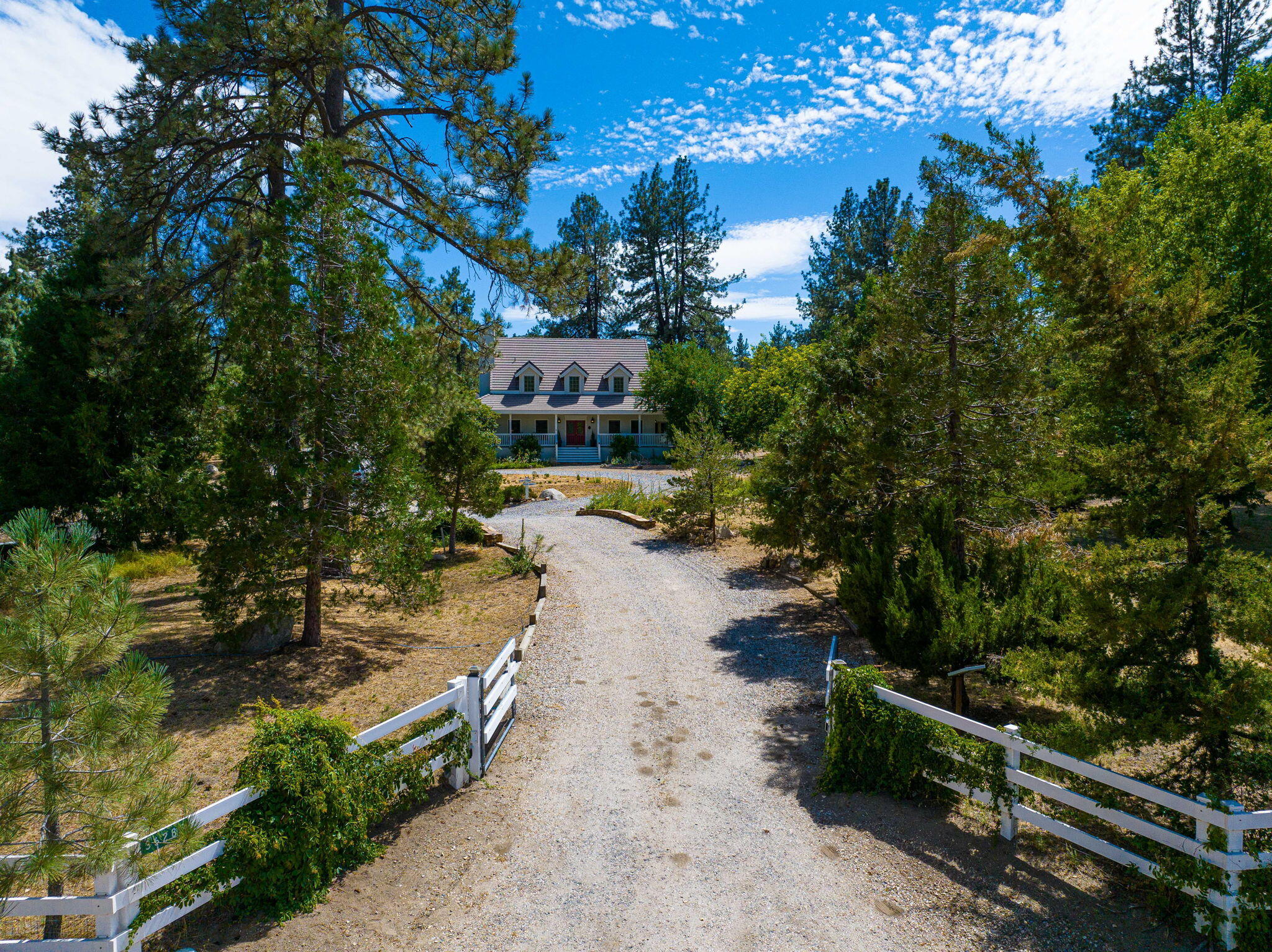36285 Tool Box Spring Road Mountain Center, CA 92561 - Photo 5 of 96 1-web-or-mls-JM_ToolBox_OPMG_0823_001