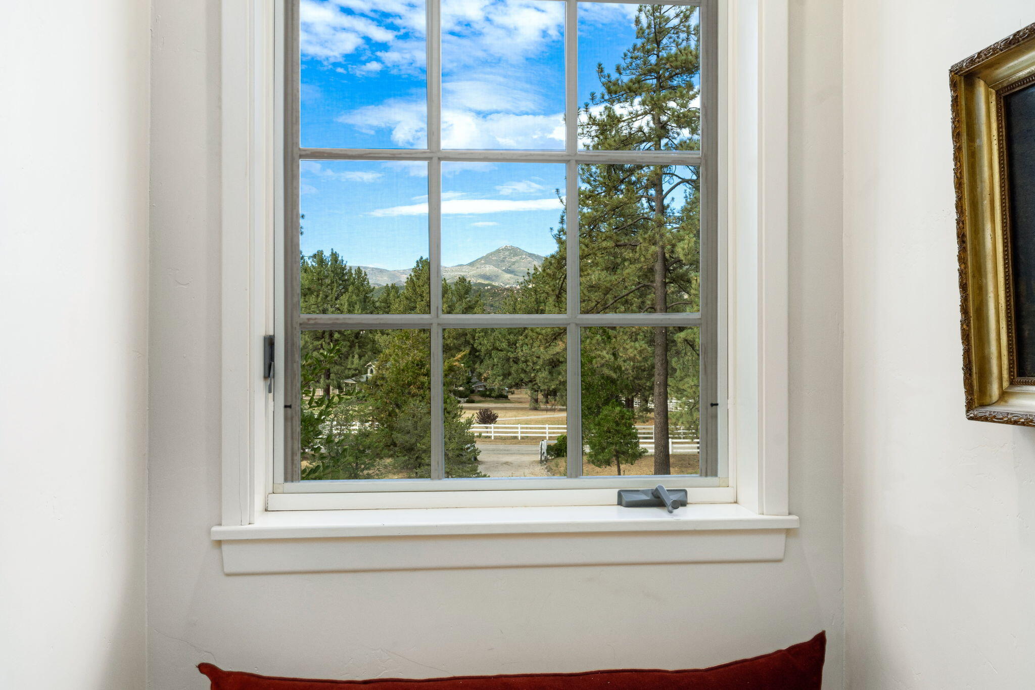 36285 Tool Box Spring Road Mountain Center, CA 92561 - Photo 58 of 96 163-web-or-mls-JM_ToolBox_OPMG_0823_163