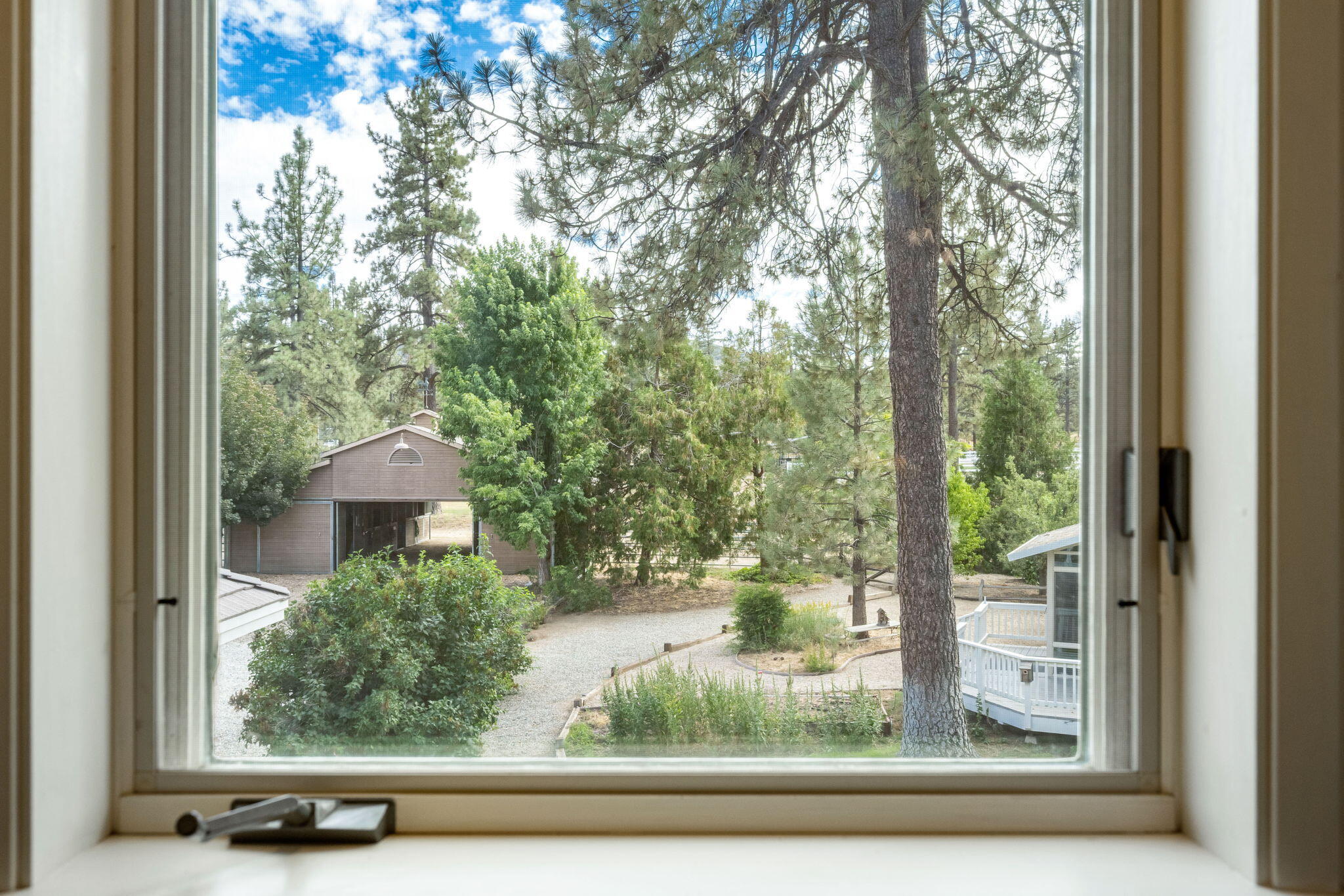 36285 Tool Box Spring Road Mountain Center, CA 92561 - Photo 59 of 96 159-web-or-mls-JM_ToolBox_OPMG_0823_159