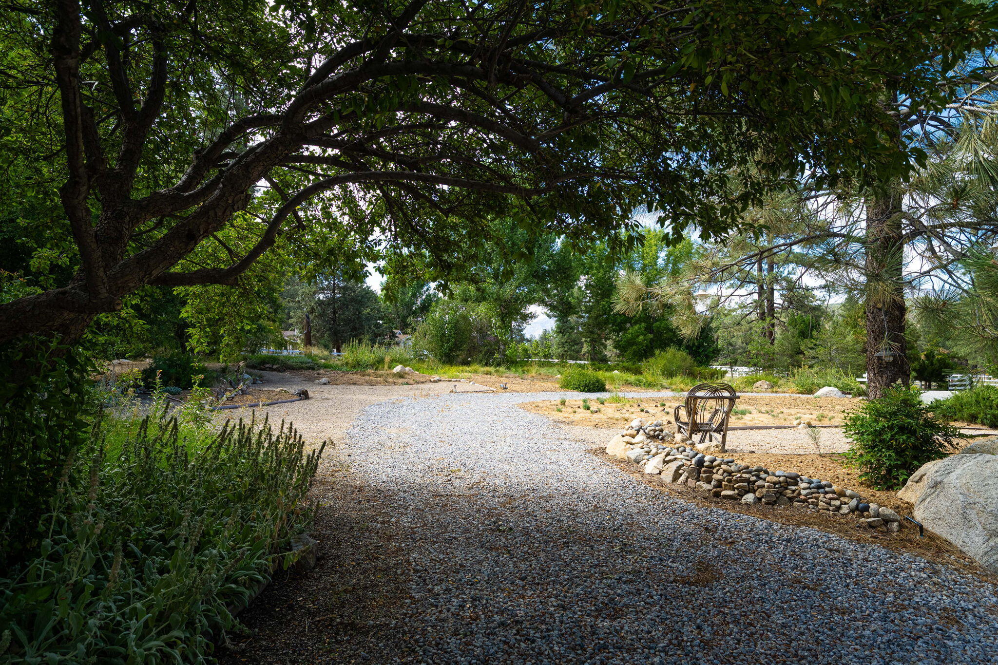 36285 Tool Box Spring Road Mountain Center, CA 92561 - Photo 70 of 96 107-web-or-mls-JM_ToolBox_OPMG_0823_107