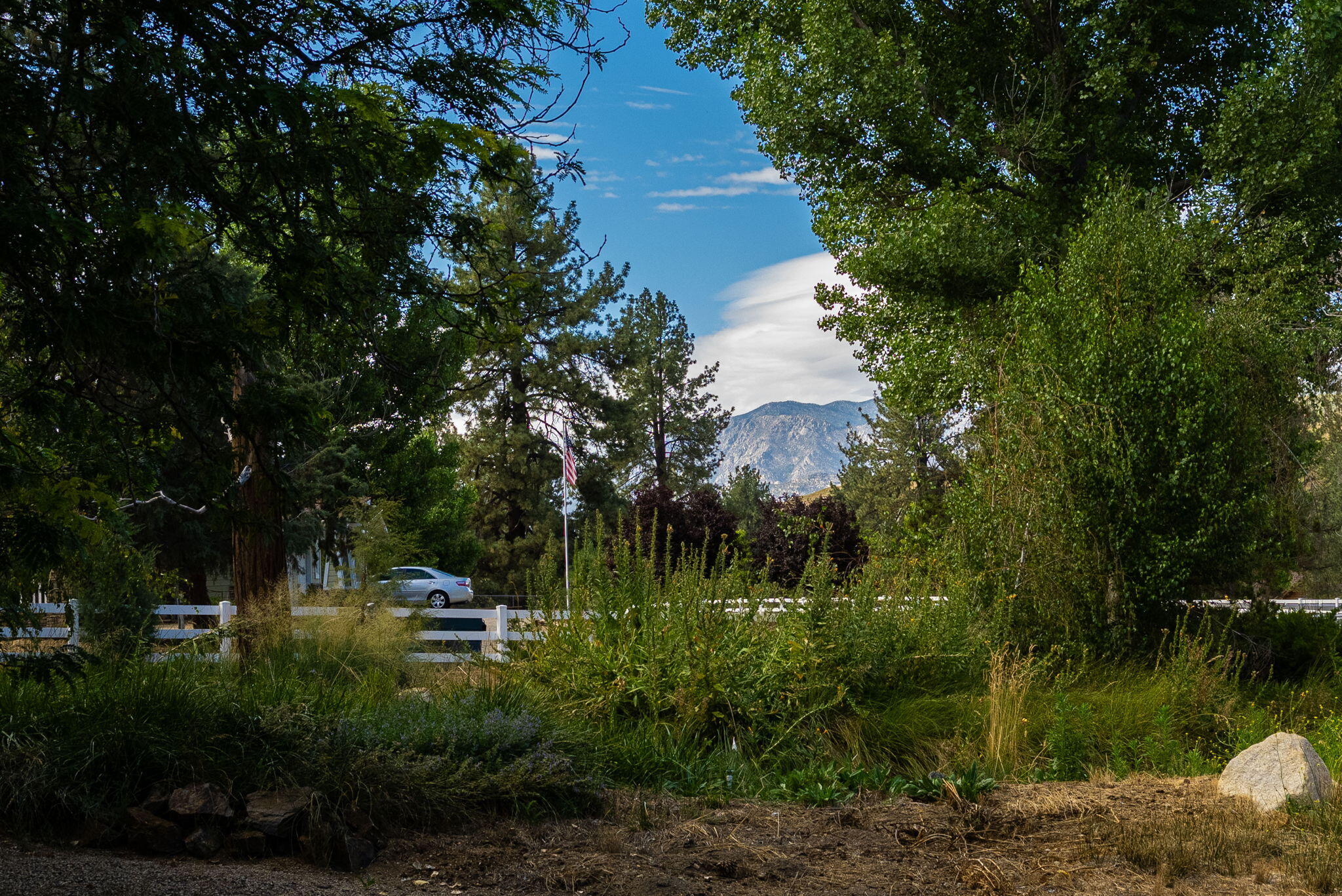 36285 Tool Box Spring Road Mountain Center, CA 92561 - Photo 71 of 96 85-web-or-mls-JM_ToolBox_OPMG_0823_085