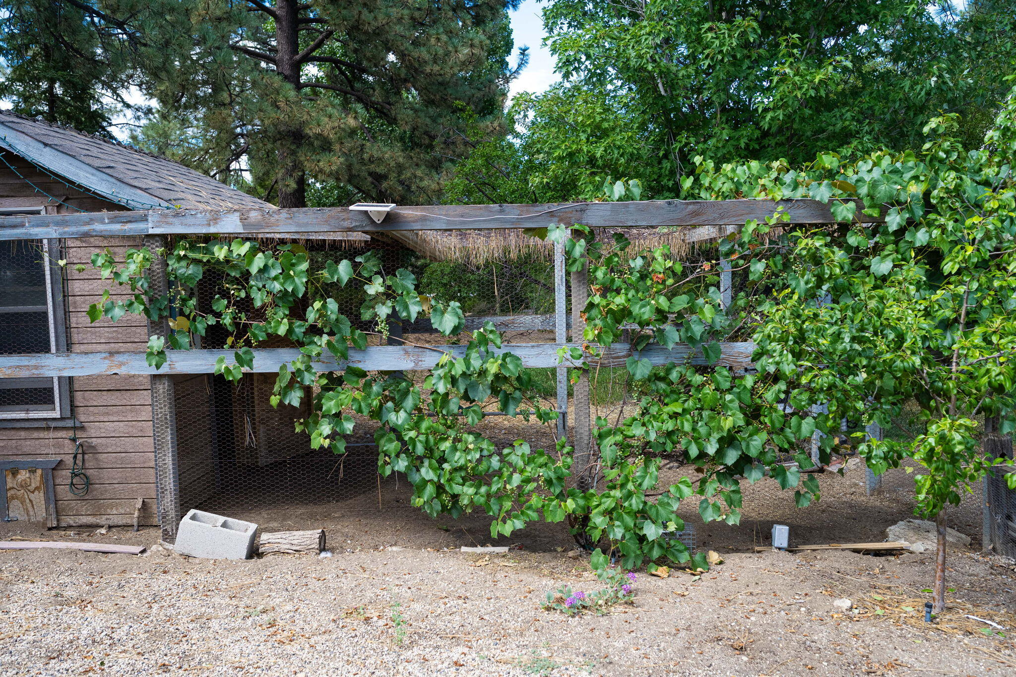 36285 Tool Box Spring Road Mountain Center, CA 92561 - Photo 73 of 96 73-web-or-mls-JM_ToolBox_OPMG_0823_073
