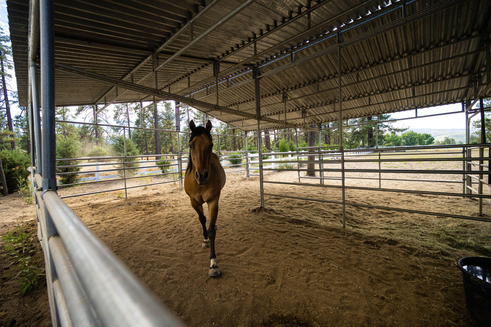 36285 Tool Box Spring Road Mountain Center, CA 92561 - Photo 84 of 96 65-web-or-mls-JM_ToolBox_OPMG_0823_065