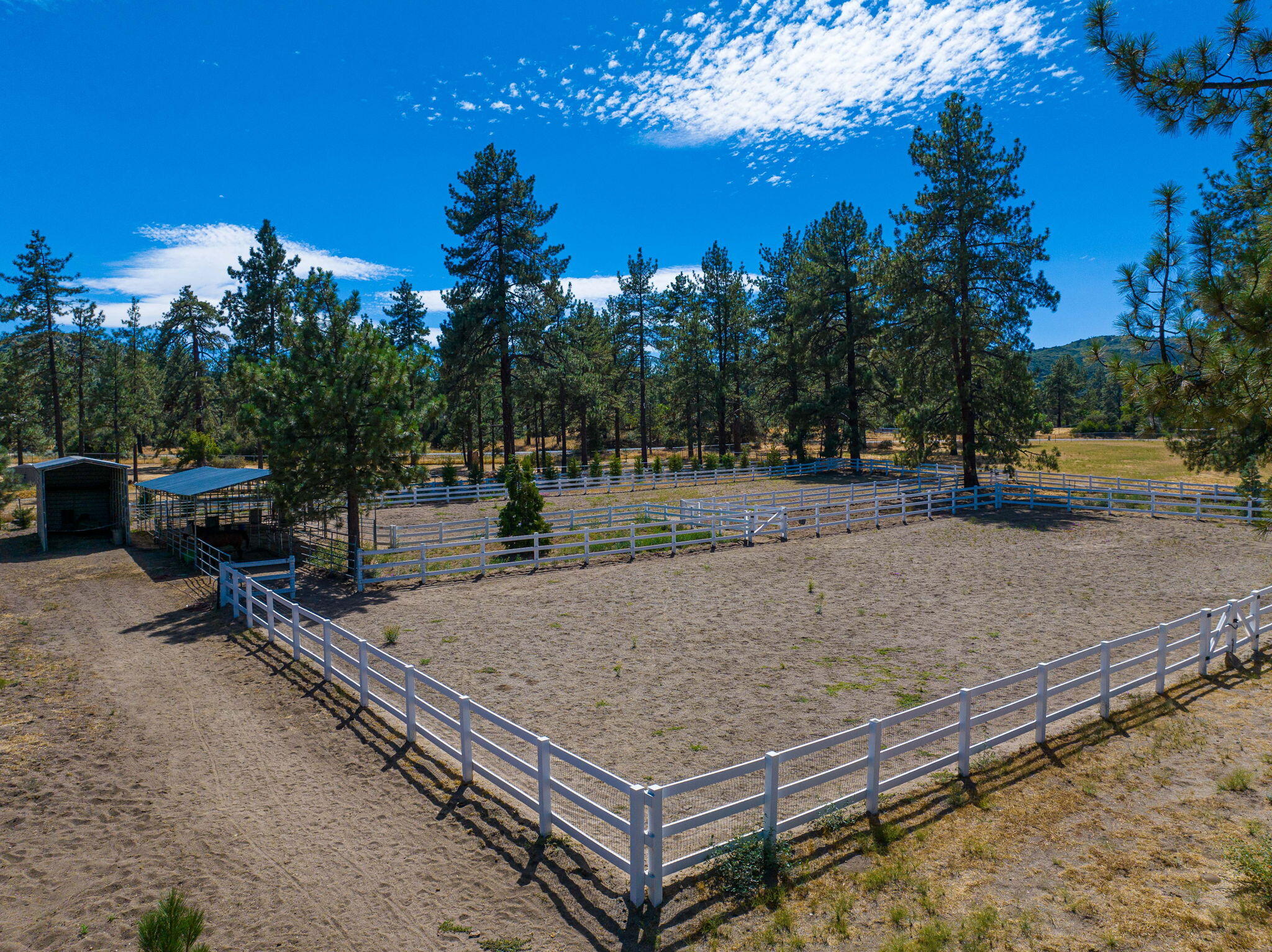 36285 Tool Box Spring Road Mountain Center, CA 92561 - Photo 90 of 96 23-web-or-mls-JM_ToolBox_OPMG_0823_023