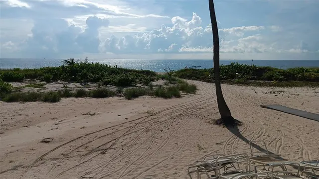 a swimming pool with outdoor seating and plants