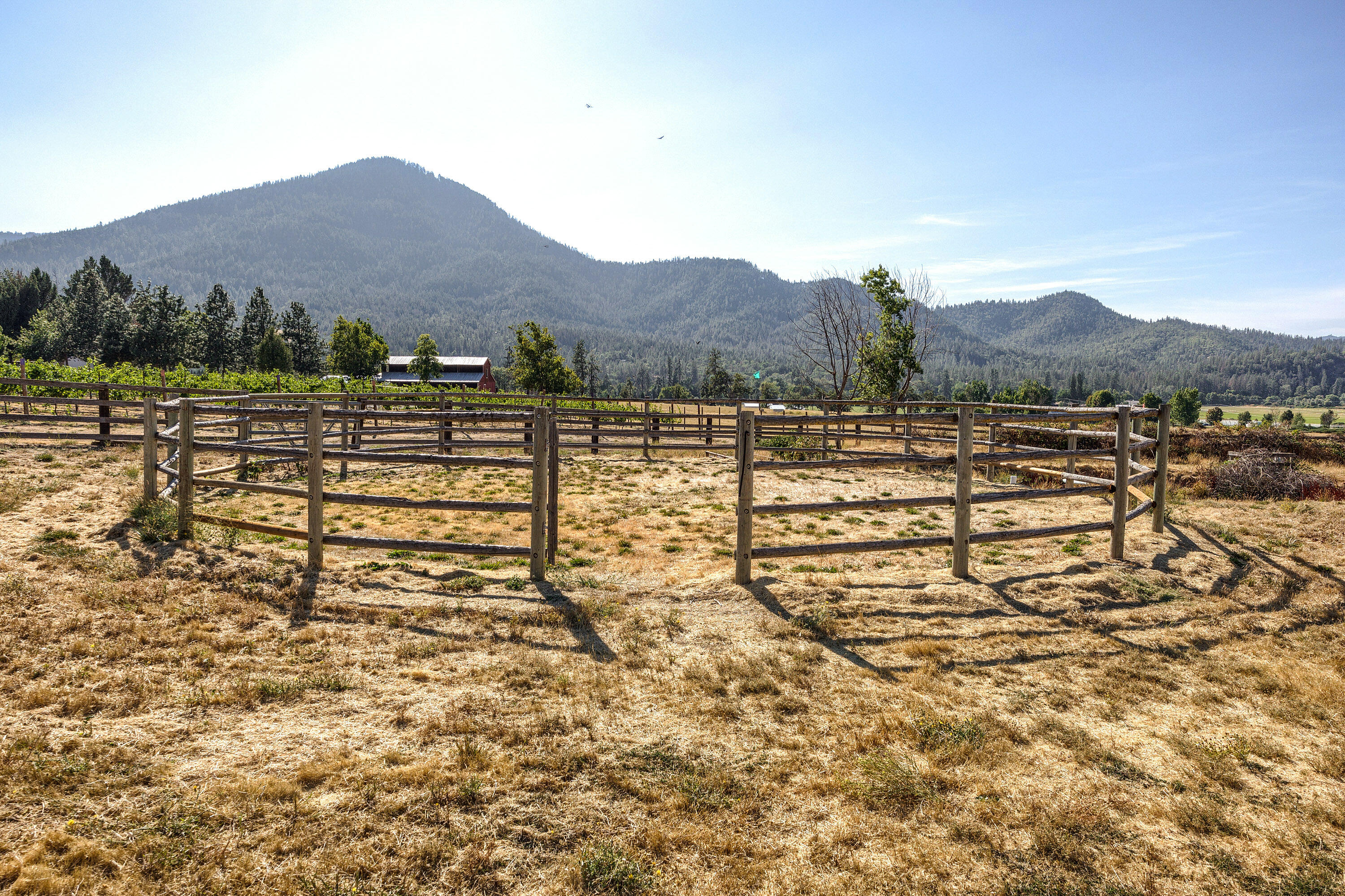 1550 Upper Applegate Road Jacksonville, OR 97530 - Photo 42 of 52 Apx1550 UA (42)