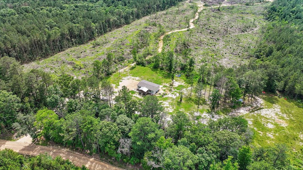 270 Hardy Williams Road Pinola, MS 39149 - Photo 31 of 71 Photo 31