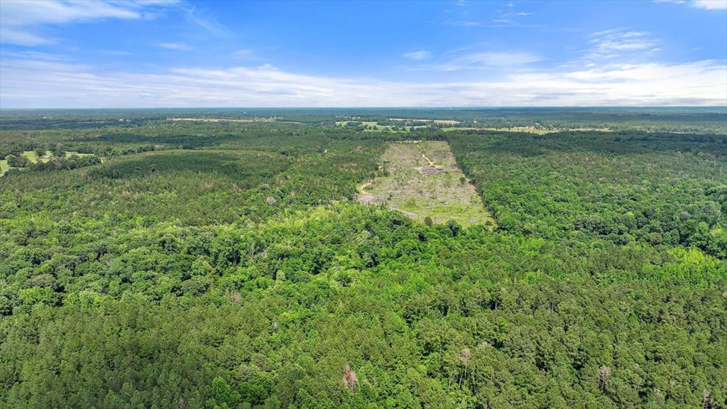 270 Hardy Williams Road Pinola, MS 39149 - Photo 38 of 71 Photo 38