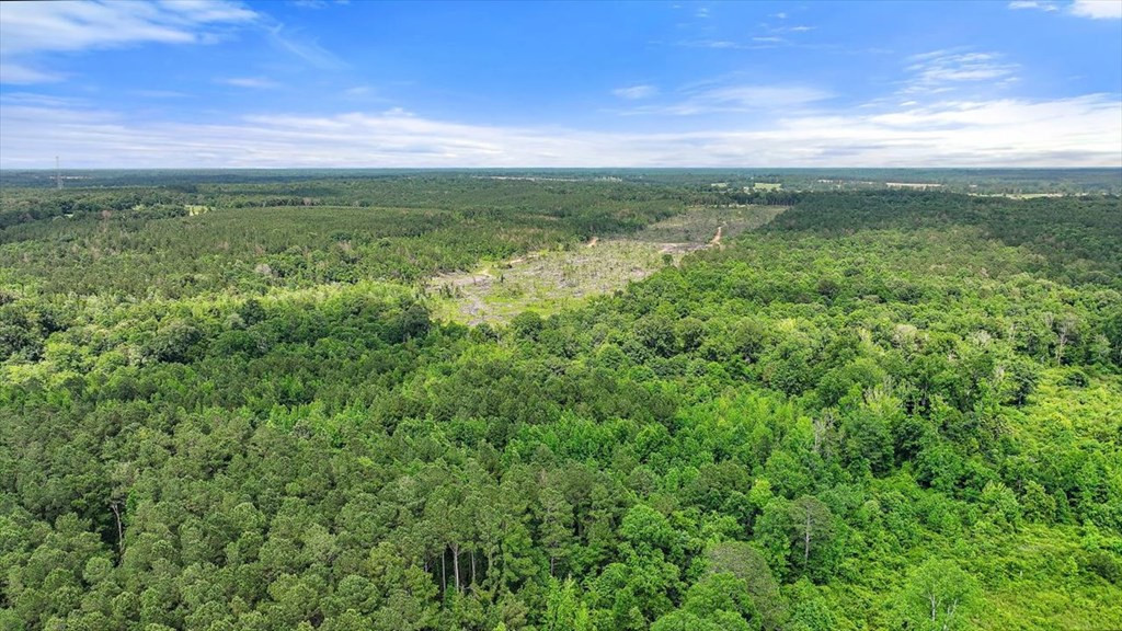 270 Hardy Williams Road Pinola, MS 39149 - Photo 40 of 71 Photo 40
