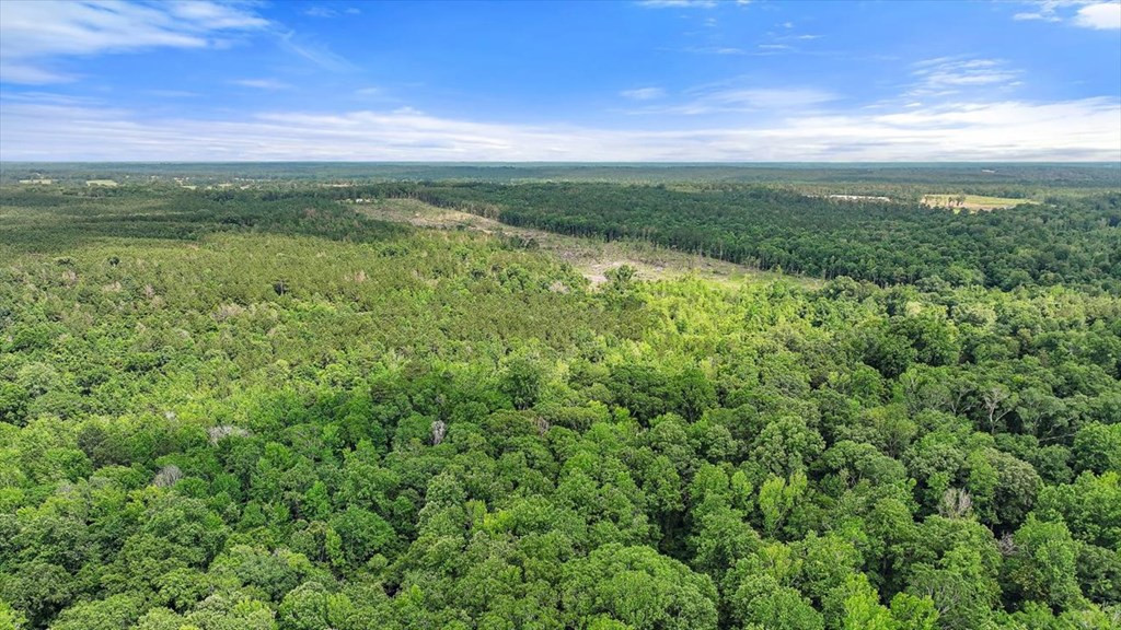 270 Hardy Williams Road Pinola, MS 39149 - Photo 42 of 71 Photo 42