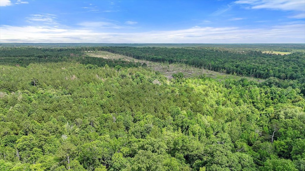 270 Hardy Williams Road Pinola, MS 39149 - Photo 43 of 71 Photo 43