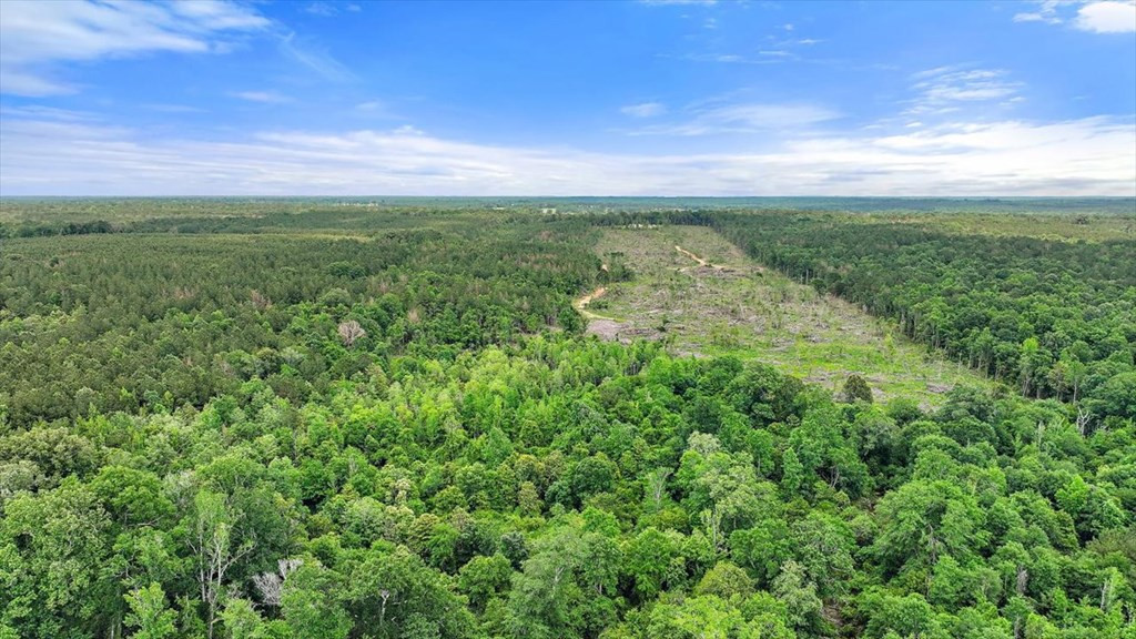 270 Hardy Williams Road Pinola, MS 39149 - Photo 44 of 71 Photo 44