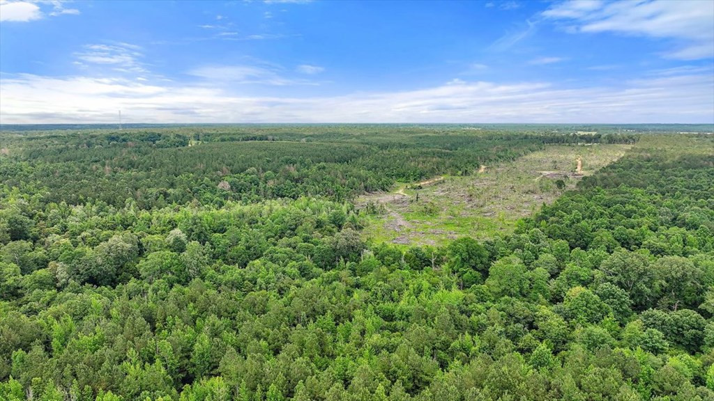 270 Hardy Williams Road Pinola, MS 39149 - Photo 45 of 71 Photo 45