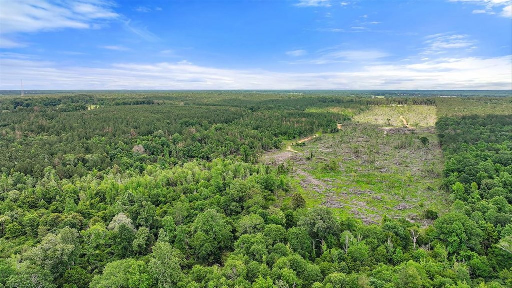 270 Hardy Williams Road Pinola, MS 39149 - Photo 46 of 71 Photo 46