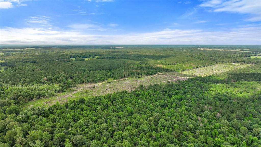270 Hardy Williams Road Pinola, MS 39149 - Photo 47 of 71 Photo 47
