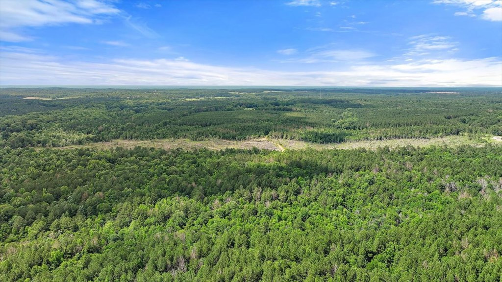 270 Hardy Williams Road Pinola, MS 39149 - Photo 48 of 71 Photo 48