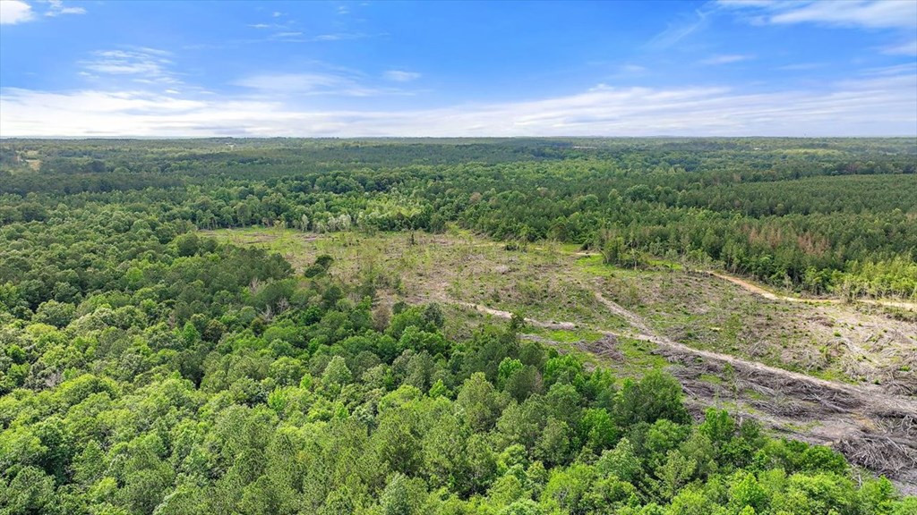 270 Hardy Williams Road Pinola, MS 39149 - Photo 49 of 71 Photo 49