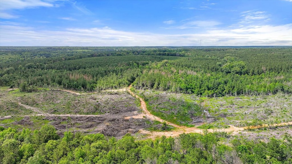 270 Hardy Williams Road Pinola, MS 39149 - Photo 50 of 71 Photo 50