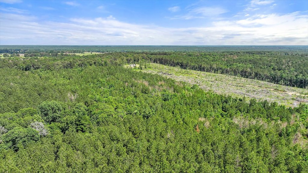 270 Hardy Williams Road Pinola, MS 39149 - Photo 54 of 71 Photo 54