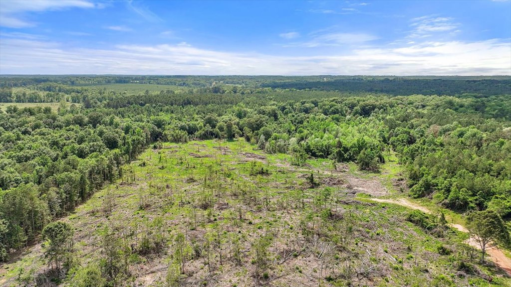 270 Hardy Williams Road Pinola, MS 39149 - Photo 56 of 71 Photo 56