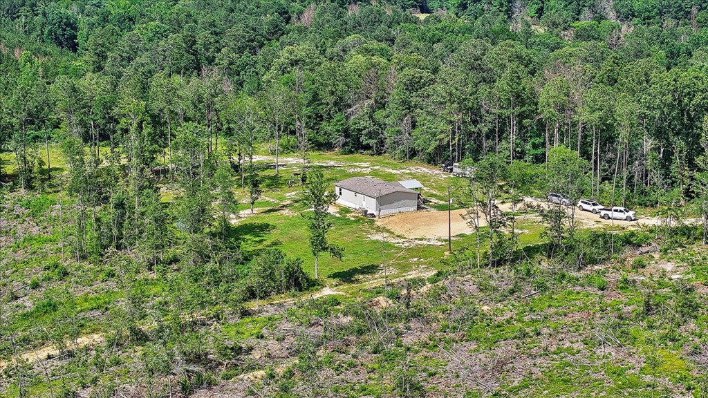 270 Hardy Williams Road Pinola, MS 39149 - Photo 64 of 71 Photo 64