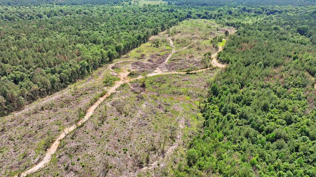 270 Hardy Williams Road Pinola, MS 39149 - Photo 66 of 71 Photo 66