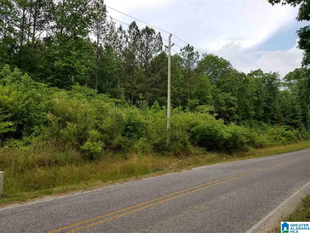 0 Rocky Hollow Road, Unit 12 Jacksonville, AL 36265 - Photo 5 of 15