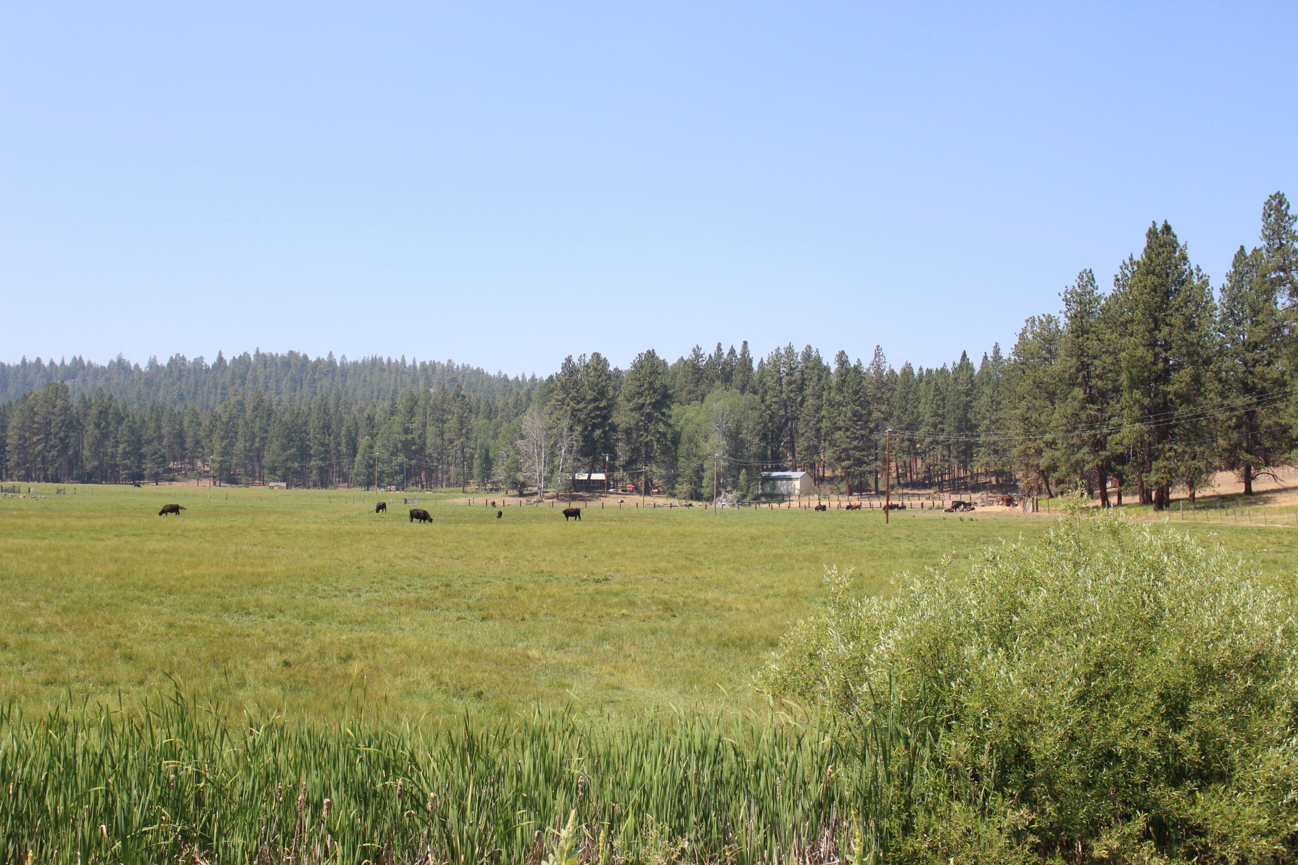 8100 Sprague River Road Chiloquin, OR 97624 - Photo 15 of 15 IMG_3510