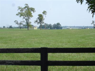 1010 Combs Ferry Road Winchester, KY 40391 - Photo 3 of 3 Photo 3