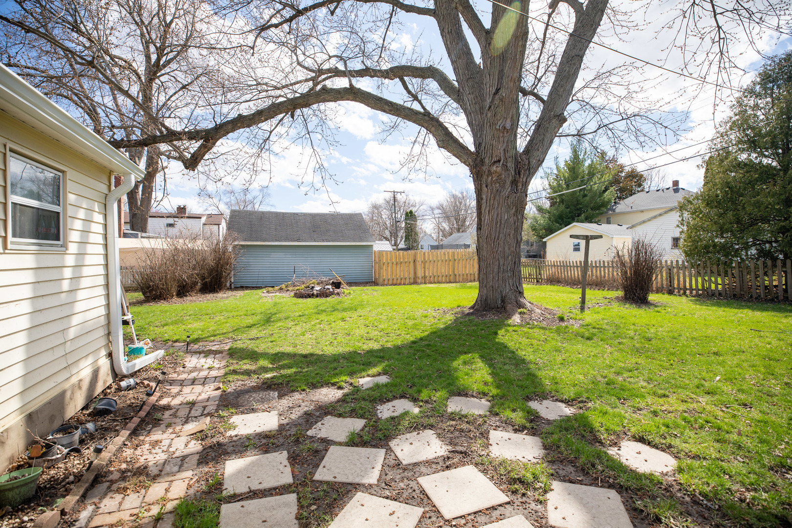 916 North 8th Street Rochelle, IL 61068 - Photo 15 of 16 a view of a yard with plants and large tree