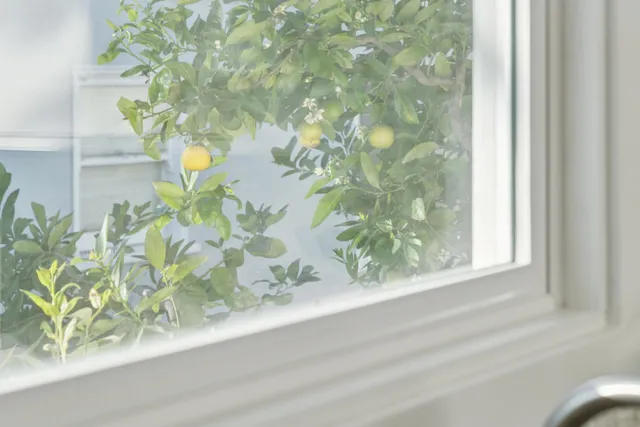 $1,095,000 | 1328 Marin Avenue, Albany, CA 94706