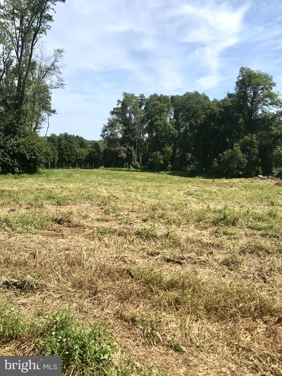 818 Burrows Run Road Chadds Ford, PA 19317 - Photo 102 of 106 Hannah Lane