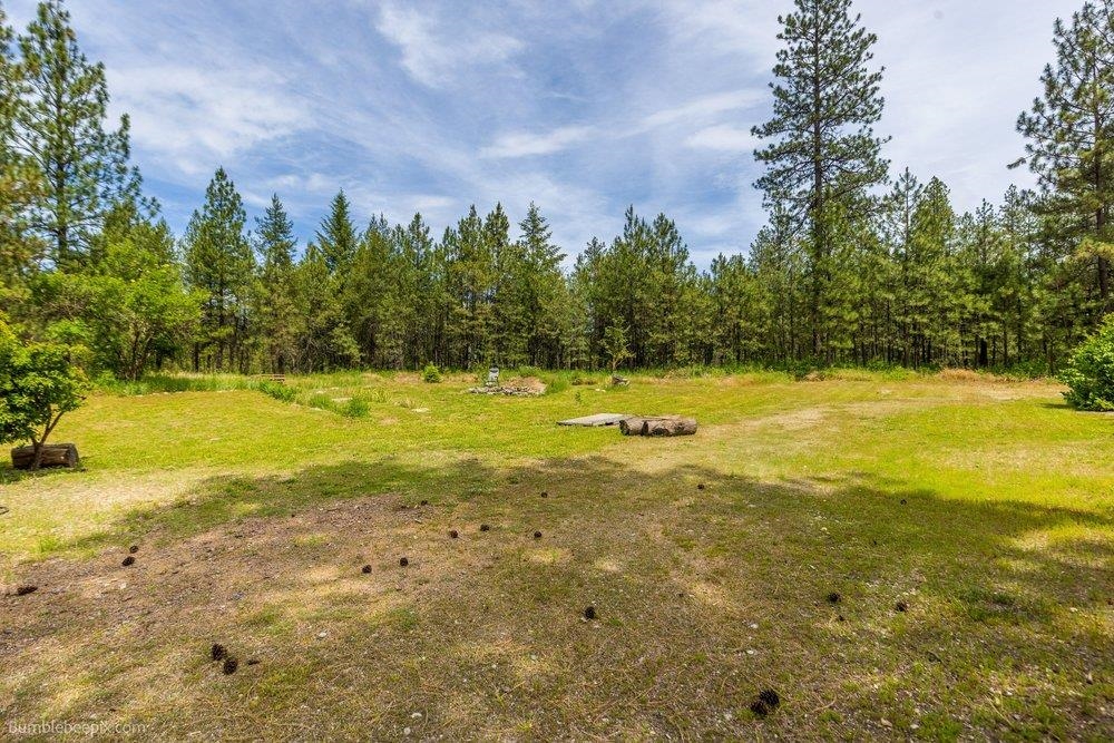 36714 Northwest Branch Road Chattaroy, WA 99003 - Photo 25 of 30