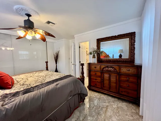 a view of a big yard with a large tree