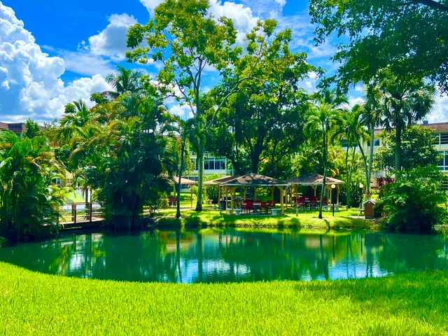 a view of a park with a tree in the background