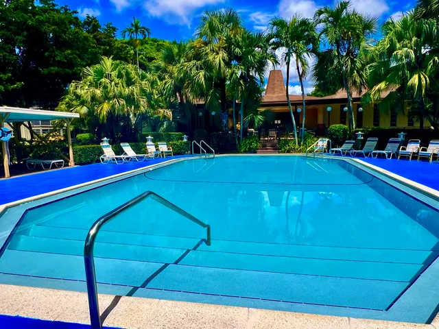 a view of a house with a big yard and potted plants and large trees