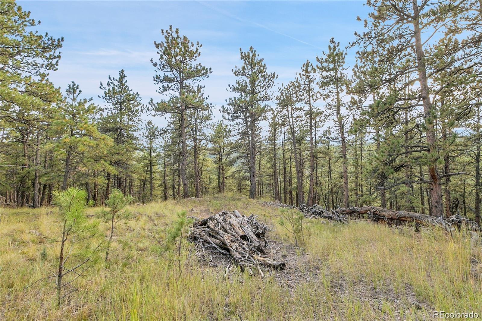 2317 Wieler Road Evergreen, CO 80439 - Photo 12 of 26 a view of outdoor space