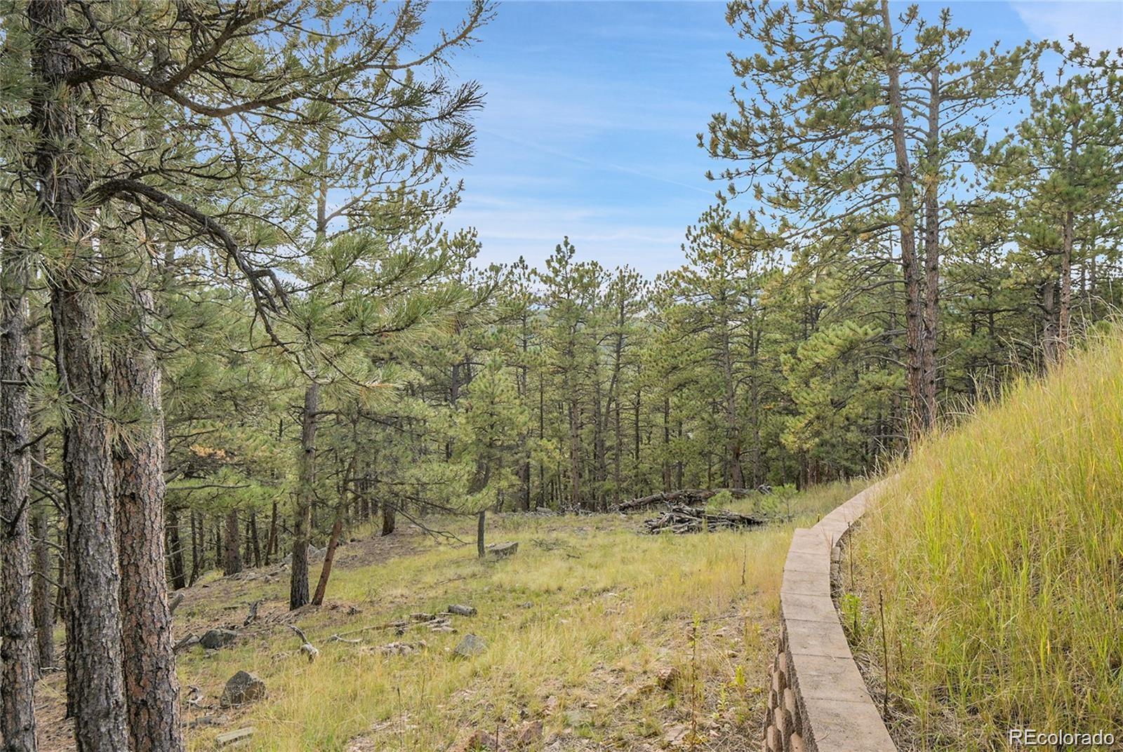 2317 Wieler Road Evergreen, CO 80439 - Photo 14 of 26 a view of a yard with large trees