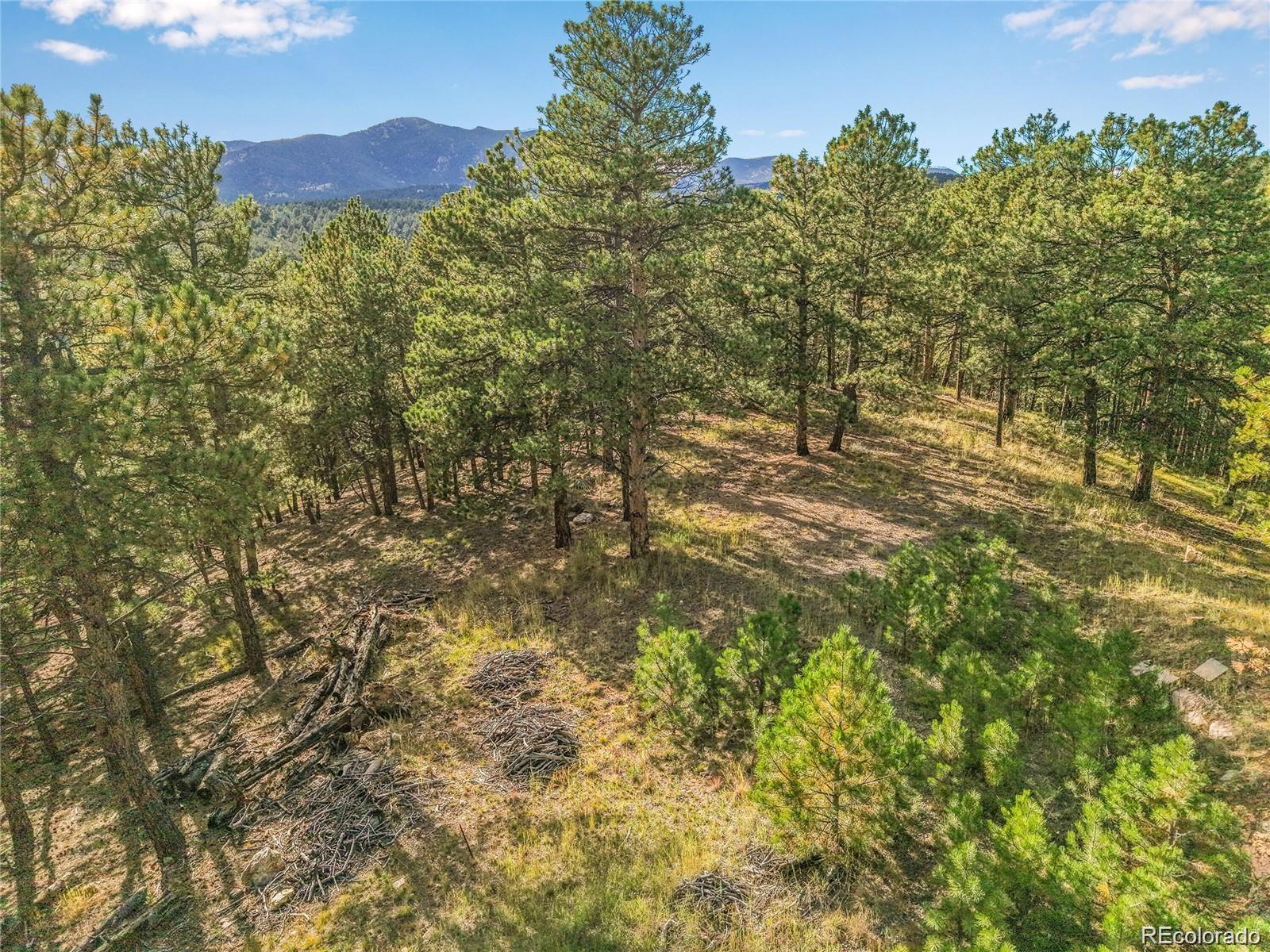 2317 Wieler Road Evergreen, CO 80439 - Photo 16 of 26 a view of a yard with an outdoor space